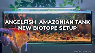 Angelfish amazonian tank  new Biotope Setup  4K [upl. by Etteloiv]