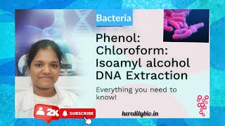 Bacterial DNA isolation by PhenolChloroform Method ।Heredity Biosciences [upl. by Paulette]