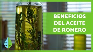 ACEITE de ROMERO 🪔🍃 ¡Propiedades BENEFICIOS y Cómo Hacerlo [upl. by Noirb30]