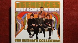 THE TREMELOES  HERE COMES MY BABY 1967 [upl. by Bocoj]