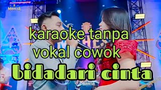 BIDADARI CINTA KARAOKE TANPA VOKAL COWOK [upl. by Retrop352]