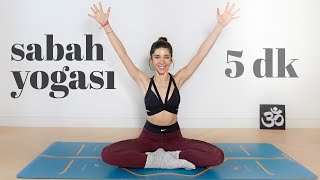 UYAN ve PARLA ☀ Güne Enerjik Başlamak İçin 5 Dakika Sabah Yogası  Elvin ile Yoga [upl. by Sucramel]