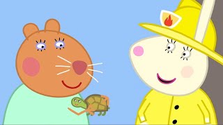 Peppa Pig Nederlands  Dokter Hamsters Schildpad  Tekenfilms voor kinderen [upl. by Anaele]