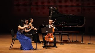 Dvorak Dumky Trio Op 90 I Lento maestoso [upl. by Yoong464]