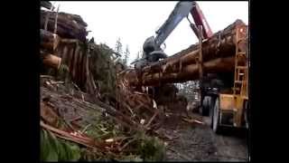 Extreme trucking on Vancouver Island [upl. by Enida61]