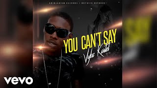 Vybz Kartel  You Cant Say Official Audio [upl. by Nafets65]