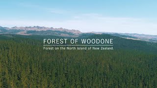 【ブランドムービー】「FOREST OF WOODONE」 [upl. by Hamilah80]