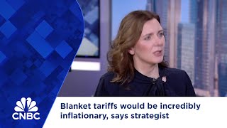 Blanket tariffs would be incredibly inflationary says strategist [upl. by Nakashima412]