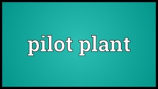 Pilot plant Meaning [upl. by Arvonio]