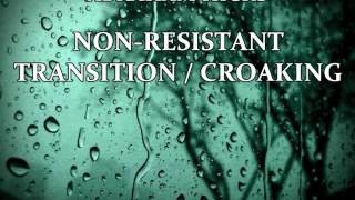 ABRAHAM HICKS  NONRESISTANT TRANSITION  CROAKING [upl. by Nrehtak92]