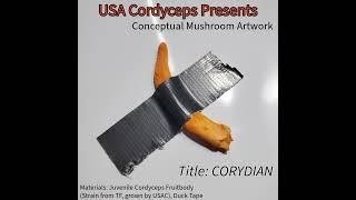 USA Cordyceps Artwork  Corydian mushroomart bananaart comedian cordyceps mushroom [upl. by Devol79]