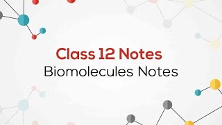 Biomolecules Class 12 Chemistry Chapter 10 handwritten notes chemistry [upl. by Colis]