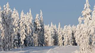 Ljungåsen Grängesberg [upl. by Sila]