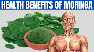 MORINGA BENEFITS  16 Amazing Health Benefits of Moringa You Should Know [upl. by Hall]