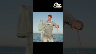 Cast Net for Catching Prawns Excellent Cast Net Fishing Skill  Awesome CAST NETTING WITH PRO THROW [upl. by Htebyram]