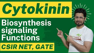 Cytokinin hormone biosynthesis and cytokinin function [upl. by Sloane]