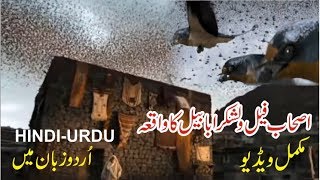 Ababeel Bird Story in Urdu  Hindi  Abraha aur Hathi ka Qissa [upl. by Anytsirhc]