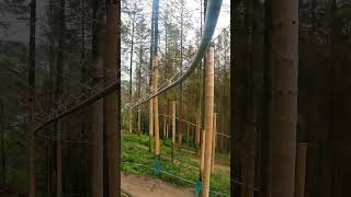 1km durch den Wald fliegen 🌲 FlyLine in Winterberg flyline winterberg zipline springonshorts [upl. by Attekram]