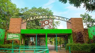 Así ERA EL ZOOLOGICO NACIONAL de El Salvador antes de su CIERRRE  video 1  Youtubero Salvadoreño [upl. by Eiramaneet588]