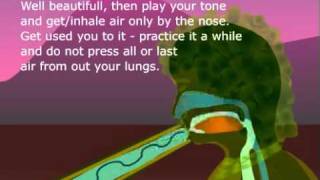 circular breathing didgeridoo how to play [upl. by Otrebogad775]