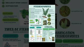 Pteridophytes  Plant kindgom  biology class11th plant  Manan Sachdeva  Bio Archives [upl. by Akiram]