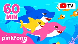 Baby Shark Dance More and More  Doo Doo Doo 60 Min  Baby Shark NonStop  Pinkfong Songs for Kids [upl. by Aleka]