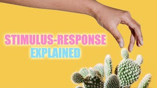 StimulusResponse Reflexes and Homeostasis [upl. by Longfellow]