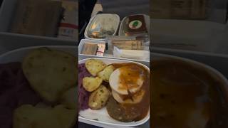 Emirates Dubai to Dublin Food [upl. by Sullivan536]