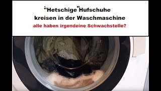 Hufschuhe reinigen Waschmaschine [upl. by Donia]