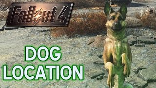 Dog Location • Fallout 4 • Where is Dogmeat the dog [upl. by Merola]