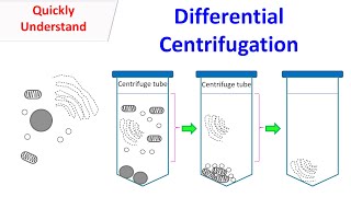 differential centrifuge [upl. by Keverne]