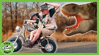 Is that the Mommy TRex Vehicles Dinosaurs  MORE  TRex Ranch Dinosaur Videos for Kids [upl. by Godric]