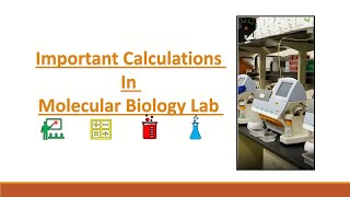 calculations in molecular biology lab part 1 [upl. by Enehs631]