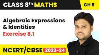 Algebraic Expressions and Identities  Exercise 81  Class 8 Maths Chapter 8 [upl. by Nenad]