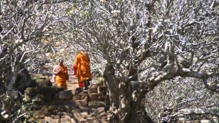 CHAMPASAK laos pakse bolivan plateau wat phou [upl. by Fulcher]