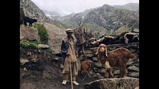 Sargay Kalash A Blind Shepherd MBugi in Collaboration with Mr Glenn Welker IPL USA Presents [upl. by Lrak238]