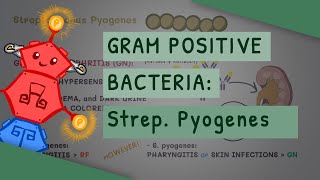 Gram Positive Bacteria Streptococcus Pyogenes [upl. by Shwalb829]