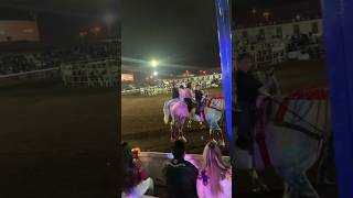 Feria del caballo 2024 [upl. by Ainelec]