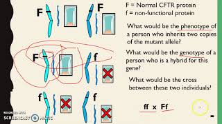 Inherited Disorders  Autosomal dominant vs recessive [upl. by Attenyl469]