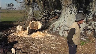 quotHijos del CampoquotCon 94 años aún trabajando en el campo PARTE 1 [upl. by Brote]