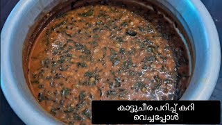 കാട്ടുചീര പറിക്കാൻ പോകാം iodine cheera [upl. by Hescock341]