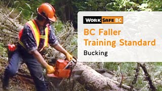 BC Faller Training Standard  Bucking 17 of 17 [upl. by Jarrow379]