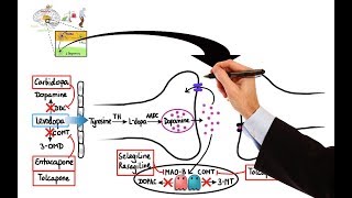 Pharmacology  DRUGS FOR PARKINSONS DISEASE MADE EASY [upl. by Florette]