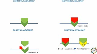 INTRINSIC ACTIVITY OF A DRUG amp QUANTAL DOSERESPONSE RELATIONSHP [upl. by Ellimac811]