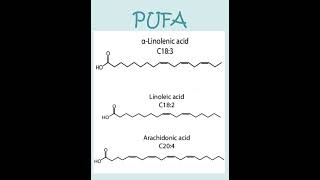 PUFA shorts shortsvideo short [upl. by Fuld]