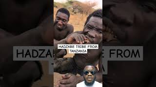 HADZABE TRIBE FROM TANZANIA africa life duet [upl. by Ayn]