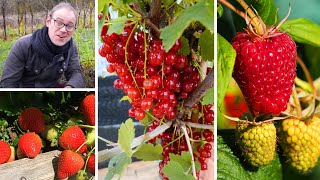 Growing Soft Fruits for Beginners [upl. by Sabian]