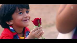 ഈ വാലന്റൈൻസ് ദിനത്തിൽ Happy Valentines Day 2021Zifran NizamZifru [upl. by Pollyanna]