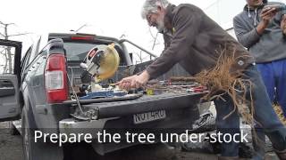 Bench grafting full term trees with the SCIONON SGC2DSU [upl. by Annaeerb]