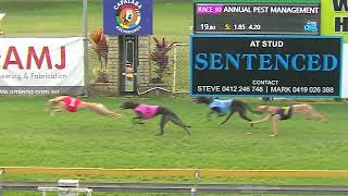 Capalaba07082024Race10 [upl. by Lerred]